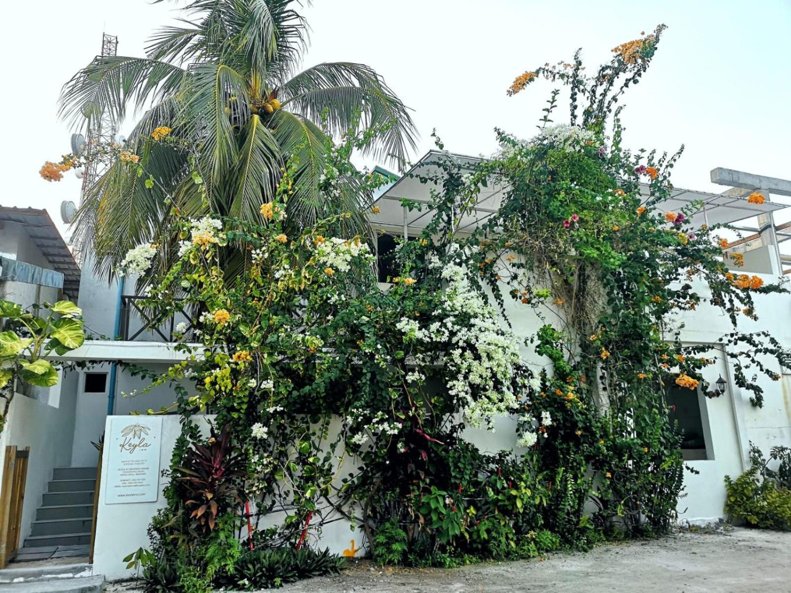 Keyla Inn Thulusdhoo Kültér fotó